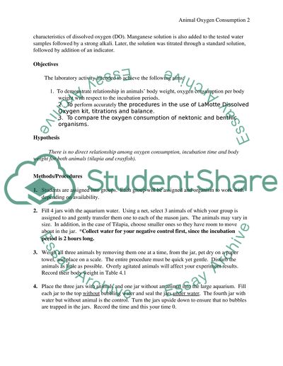 Animal Oxygen Consumption