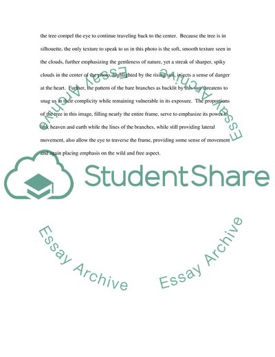 Various Aspects of Photography