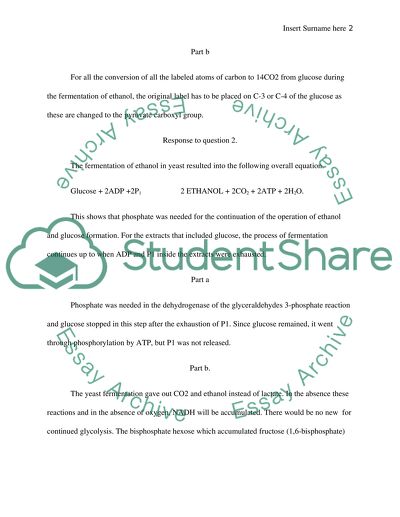 Advanced Biochemistry: The Anaerobiosis and the Fermentation of Ethanol in Yeast