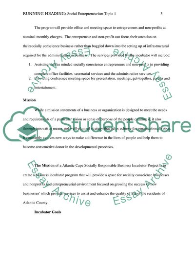 Issues Related with the Social Entrepreneurship