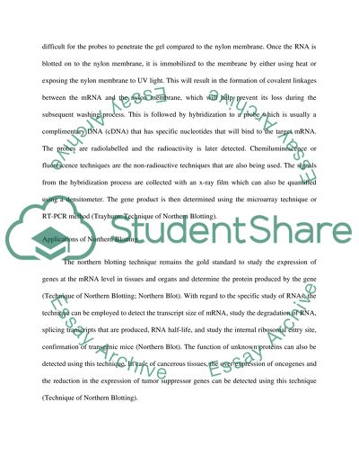 Northern Blotting Paper