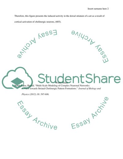 Multi scale modeling of complex neuronal networks