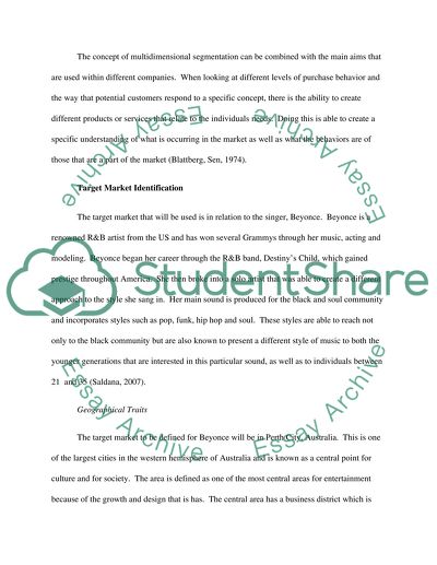 The Target Market Collage as One That Reflects Beyonces Identity and Expressions