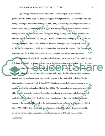 Respiration and Photosynthesis Cycle