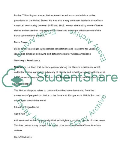African American Study Terms
