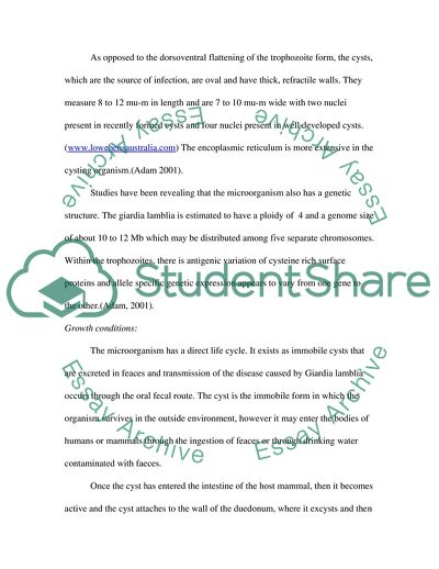 Morphology and Classification of the Giardialamblia