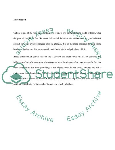 SubCulture Paper (project 1)