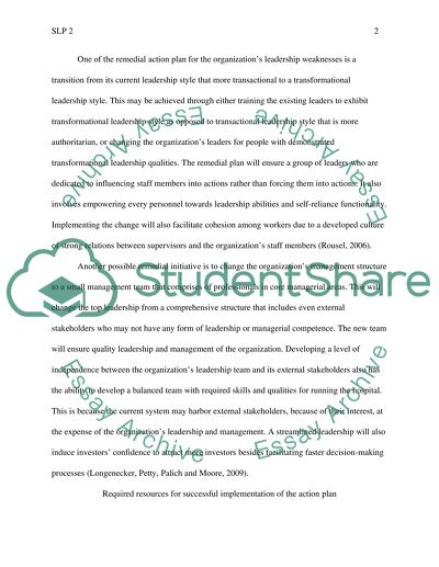 SLP 2 Healthcare Leadership Problems and Remedial Action Plans