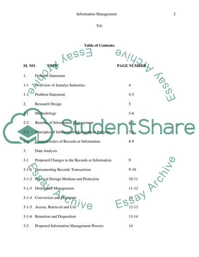Information Management Master Essay