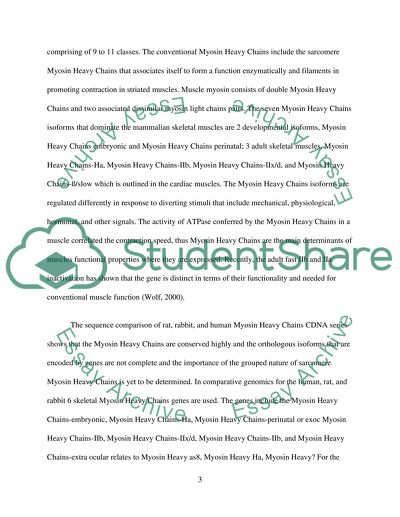 Comparative Genomics: Myosin Heavy Chains