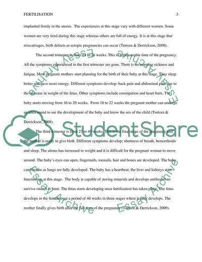 Fertilization and the Key Changes in Human Pregnancy