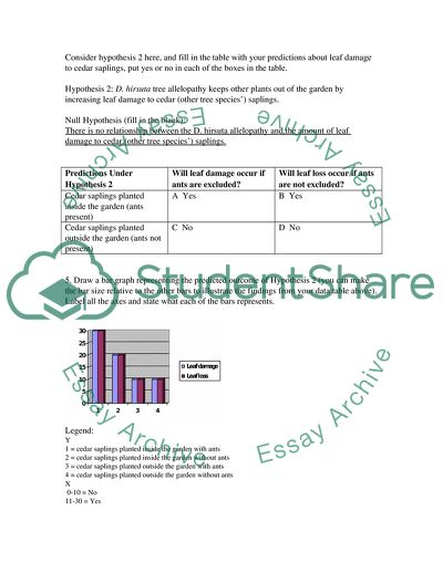 The Amazonian Rain Forest Called Devils Gardens