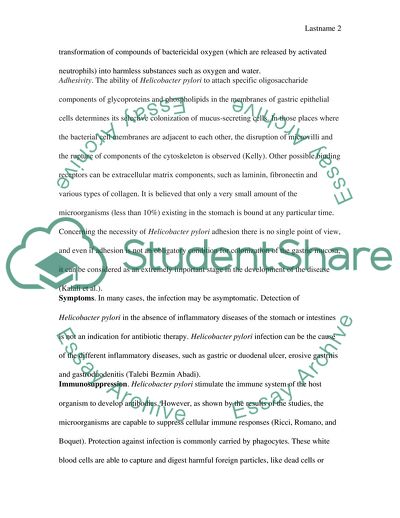 What antibiotic kills h pylori picture