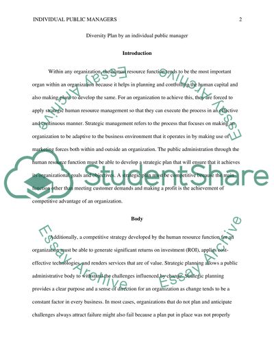 Individual Public Managers