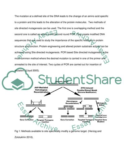 Site-Directed Mutagenesis of Gene Sequences in Cells