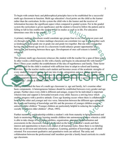 Description of the Multi-Age Education