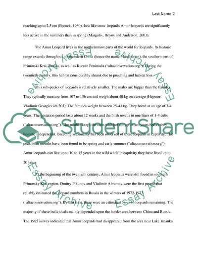 Amur Leopard Fact File