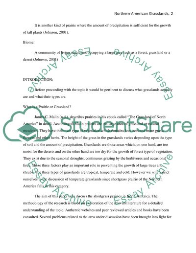 Synthesis essay example image