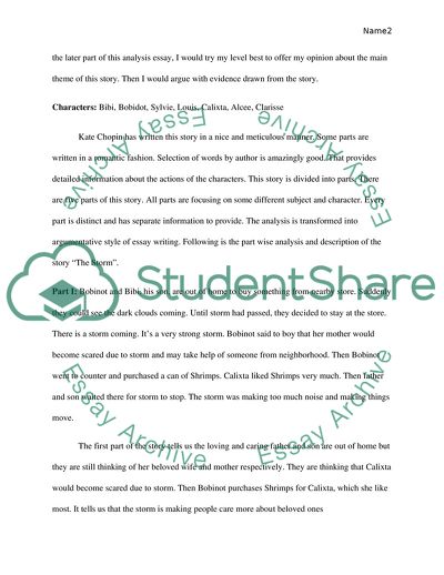 Analyzing a Fictional Story Called Storm