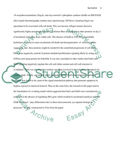 Differential Roles of the Chib Chitinase in Autolysis and Cell Death of Aspergillus Nidulans