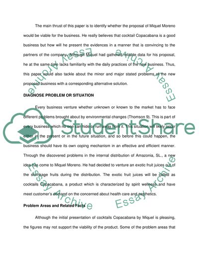 Problem Areas of Amazonia S.L. Company