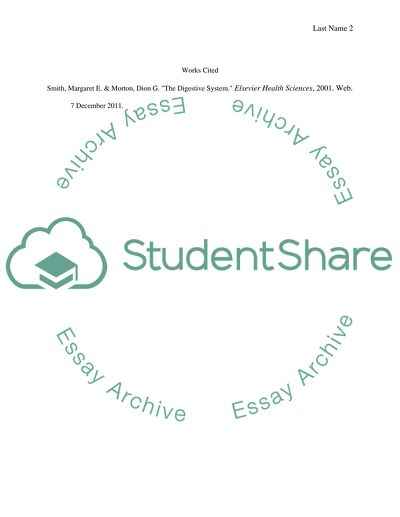 The Digestive System Essay Example | Topics and Well Written Essays