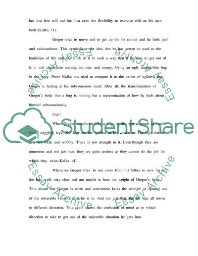 The Symbols and the Ideas in The Metamorphosis