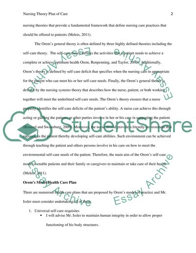 Nursing Theory Plan of Care