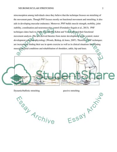 Stretching and Warm-Ups in the Sport and Exercise Science