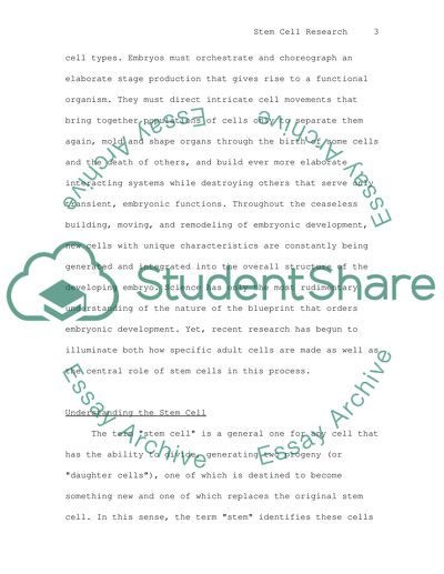 Stem Cell Research - The field of stem cell research