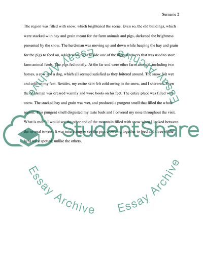 Descriptive pharagraph