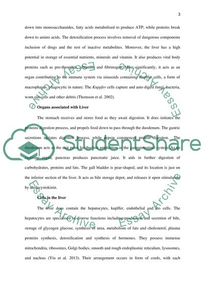 The Liver Is the Largest Internal Organ in the Body