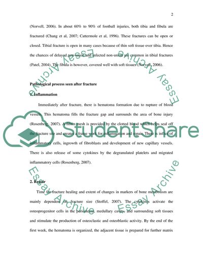 Surgical and Rehabilitation Intervention of an Open Fracture of Tibia and Fibula in Soccer Player