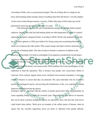 Basking Sharks, Economic, and Politics